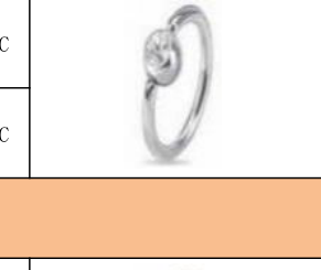 CZ Press-Fit Titanium Captive Bead Ring [GZN TB-0017]