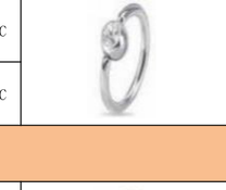 CZ Press-Fit Titanium Captive Bead Ring [GZN TB-0017]