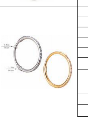Side-Set CZ Titanium Hinged Clicker Ring [GZN TB-0728]