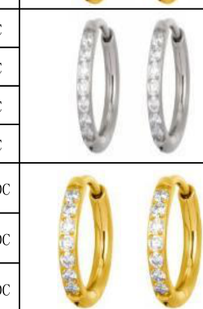 CZ Pavé Titanium Hoop Earrings [GZN TB-1298]